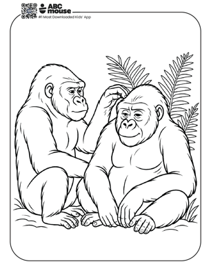 Free printable realistic gorilla coloring page for kids from ABCmouse.com. 