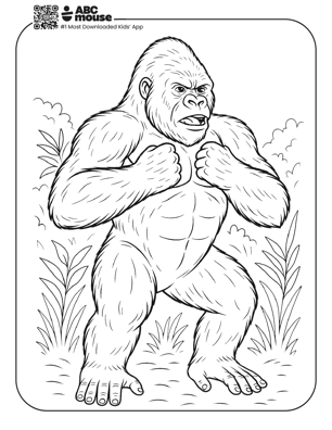 Free printable realistic gorilla coloring page for kids from ABCmouse.com. 