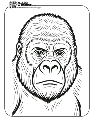 Free printable realistic gorilla coloring page for kids from ABCmouse.com. 
