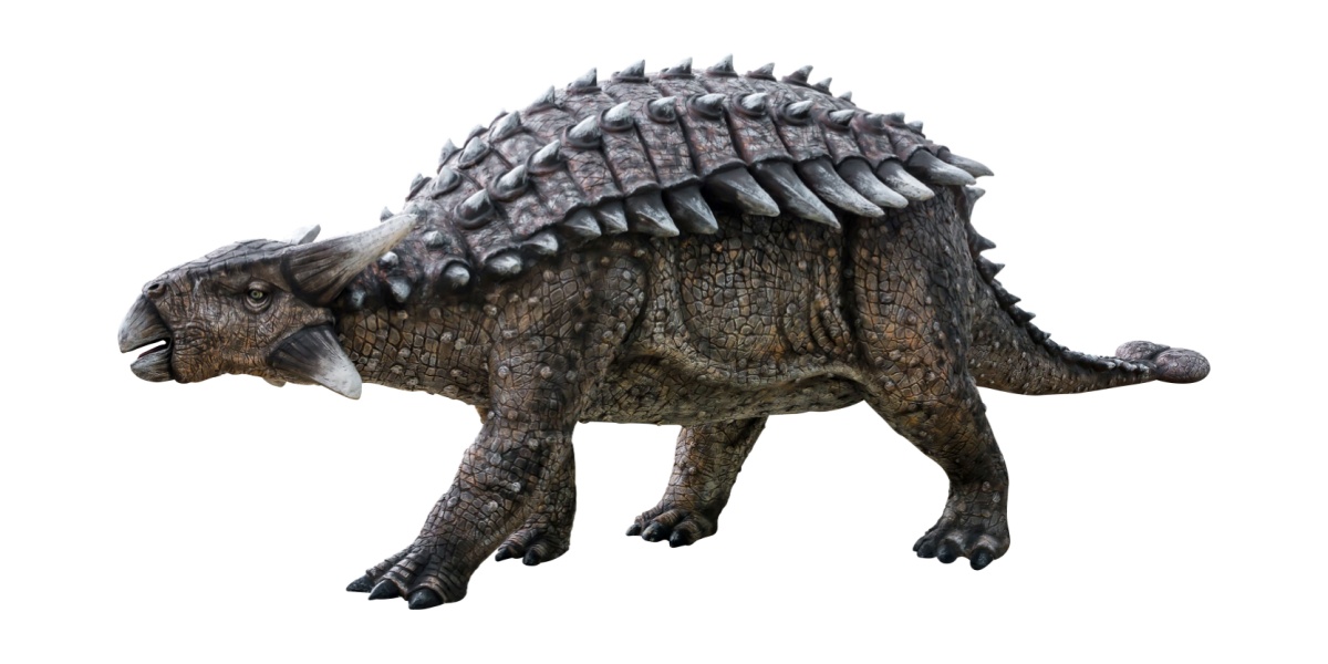 Realistic Ankylosaurus picture.