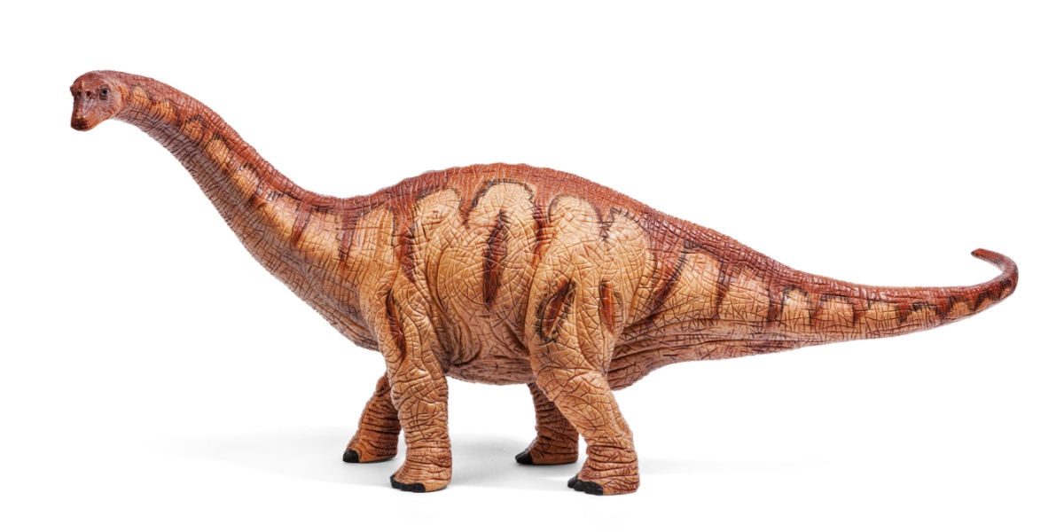 Realistic Apatosaurus picture.
