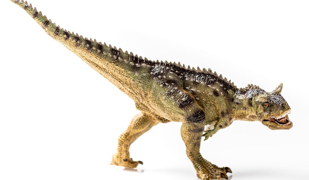 Realistic Carnotaurus picture.