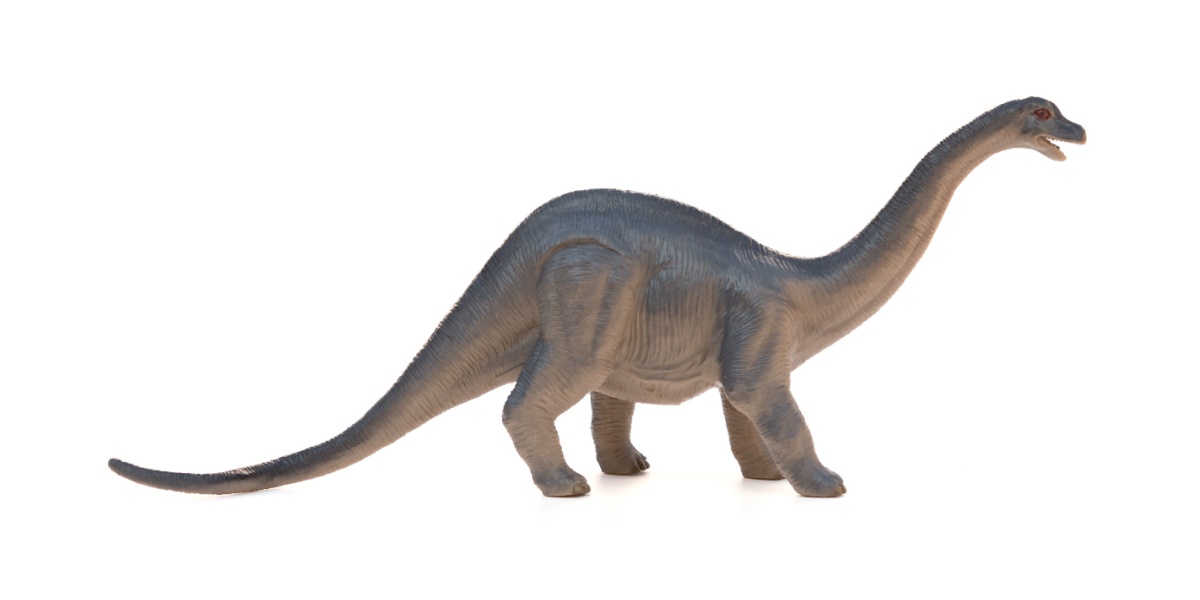 Realistic Diplodocus picture.