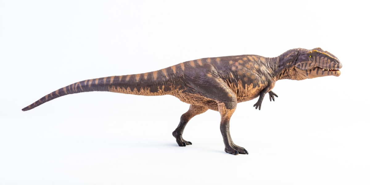 Realistic Giganotosaurus picture.