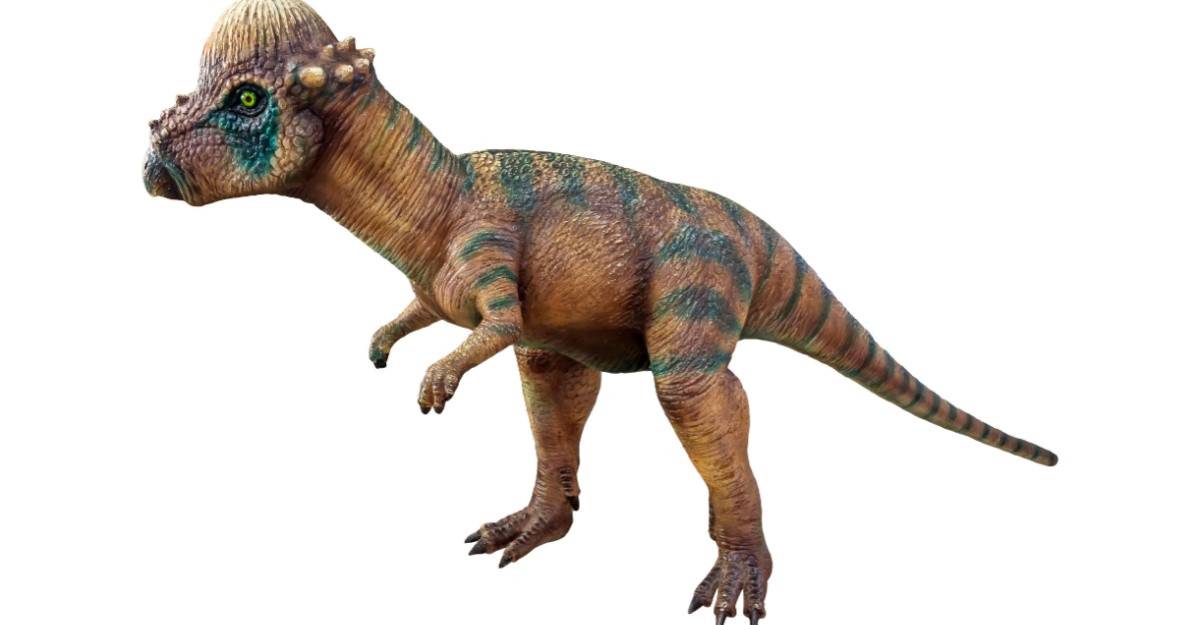 Realistic Pachycephalosaurus picture.