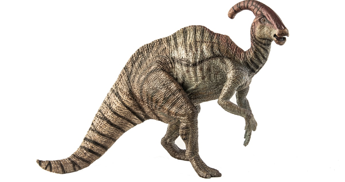 Realistic Parasaurolophus picture.