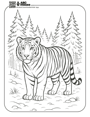 Free printable realistic tiger coloring page for kids from ABCmouse.com. 