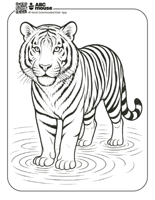 Free printable realistic tiger coloring page for kids from ABCmouse.com. 