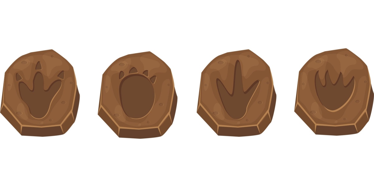 Illustrated stone dinosaur footprints.