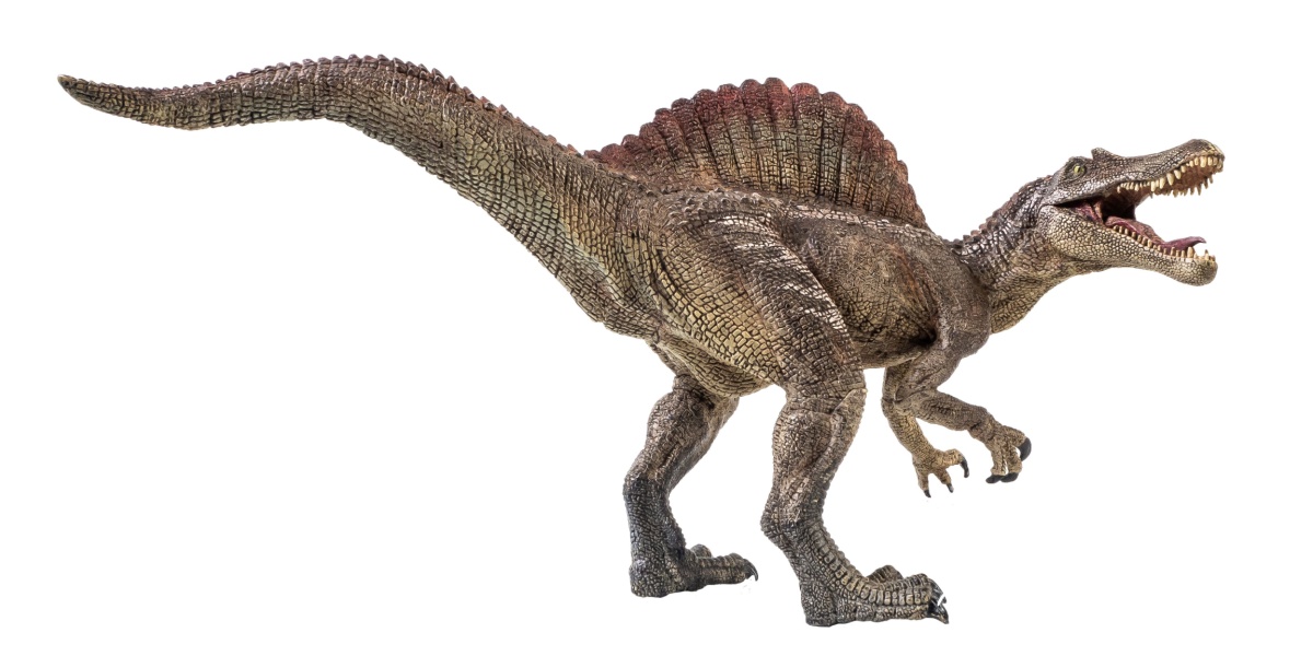 Realistic Spinosaurus picture.