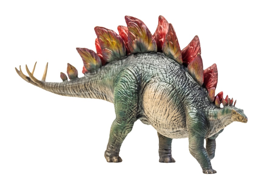Realistic Stegosaurus picture.