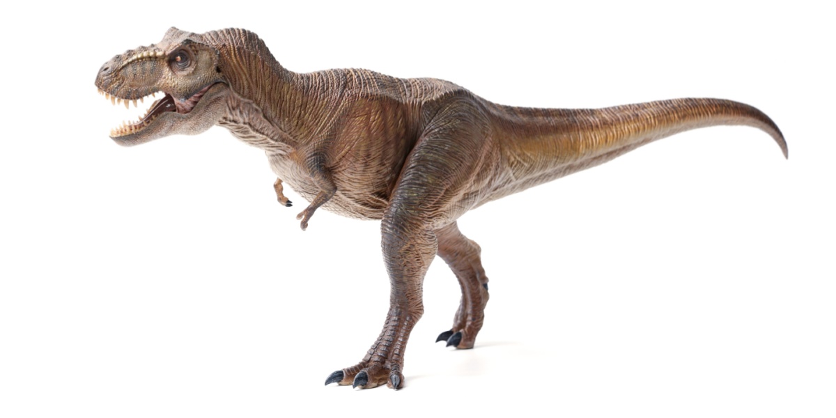 Realistic Tyrannosaurus Rex picture.
