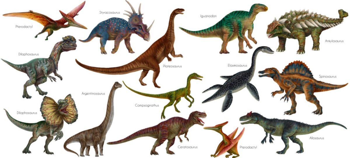 Illustrated dinosaurs for kids showing different dinosaur species