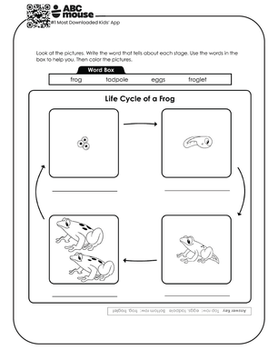Free printable educational frog lifecycle coloring page for kids from ABCmouse.com.