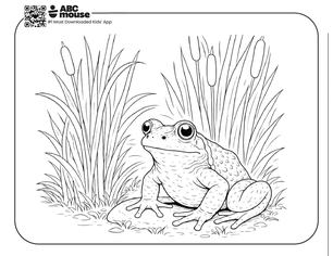 Free printable realistic frog in cattails coloring page for kids from ABCmouse.com.