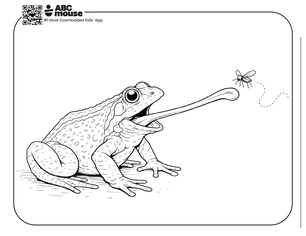 Free printable realistic frog eating a fly coloring page for kids from ABCmouse.com.