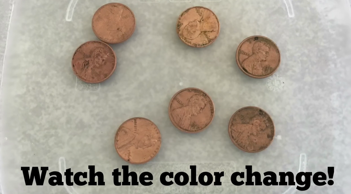 Dirty pennies soaking in a vinegar and salt solution during a science experiment
