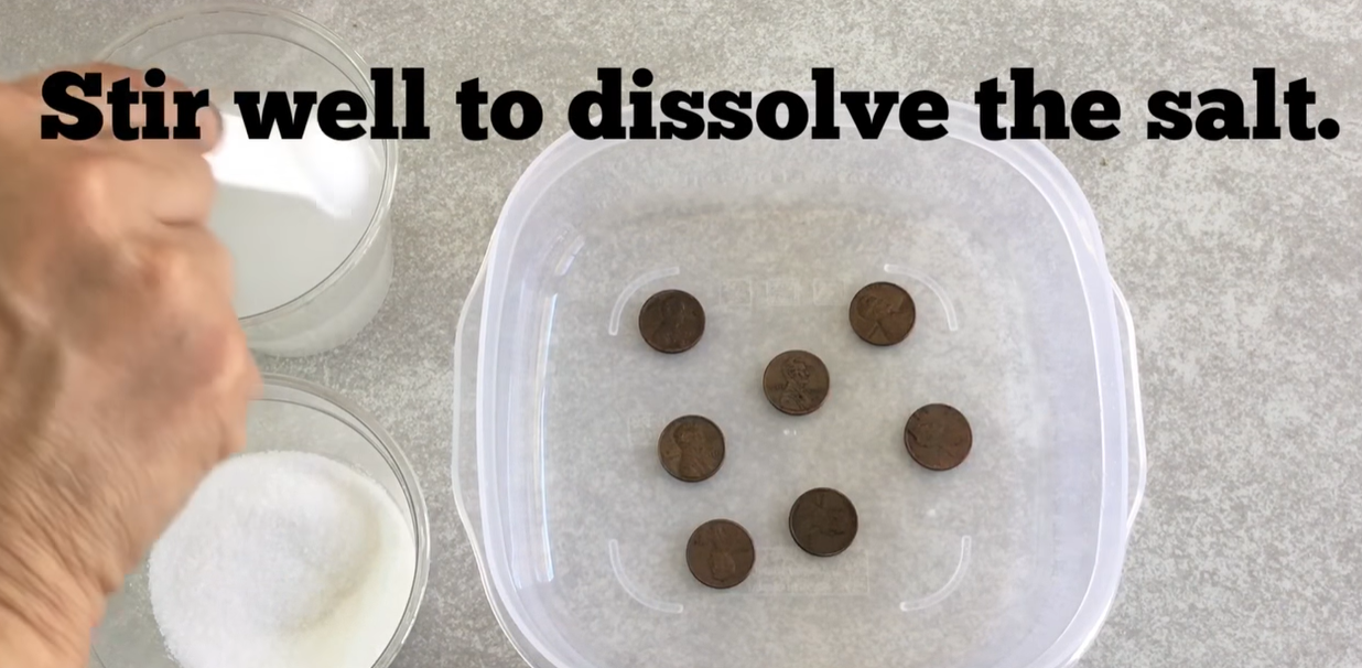 Stirring salt into vinegar to create a solution for cleaning pennies