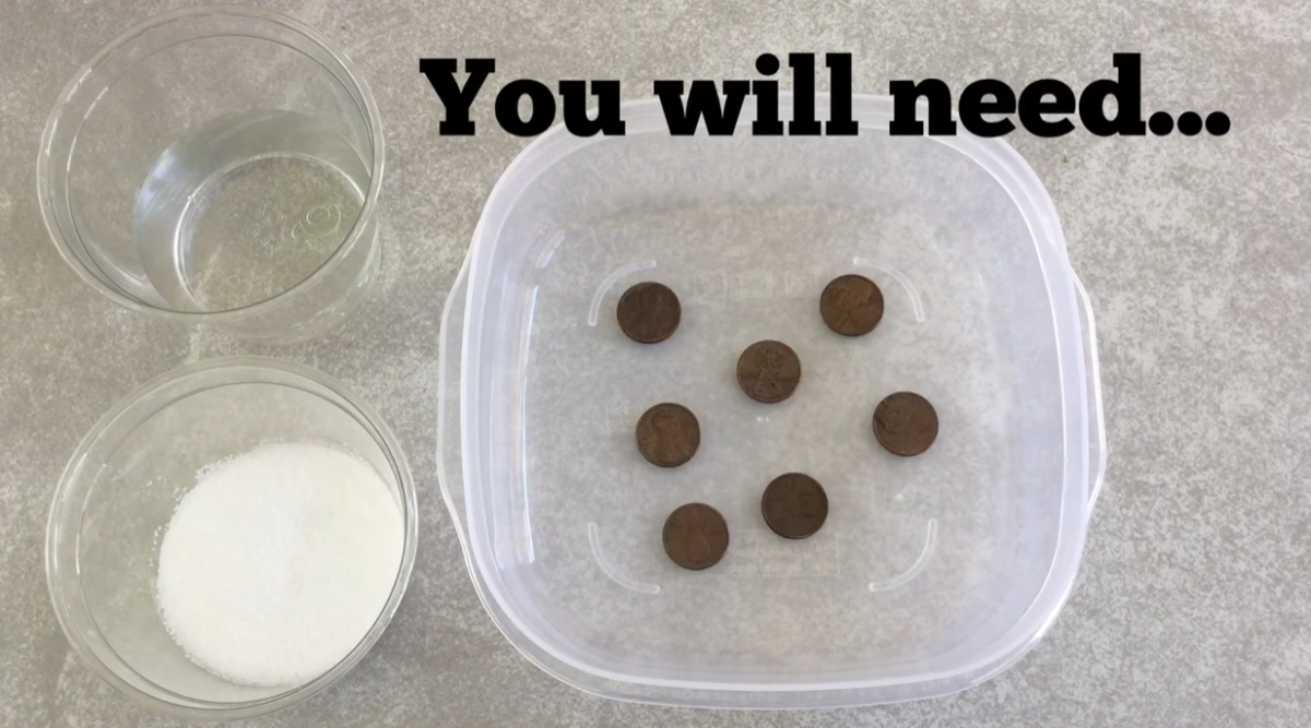 Materials needed for a penny cleaning science experiment, including vinegar, salt, and dirty pennies in a plastic container