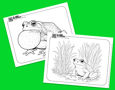 Free printable realistic frog coloring pages for kids from ABCmouse.com.