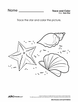 Free printable star and seashell tracing coloring worksheet for kids from ABCmouse.com.