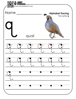 Lowercase letter q worksheet and alphabet tracing sheet with a colorful quail and letters to trace.