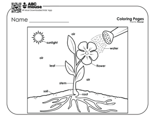 Black and white coloring page with a flower growing from the soil in the sun and being watered with a watering can and all parts and objects labeled.