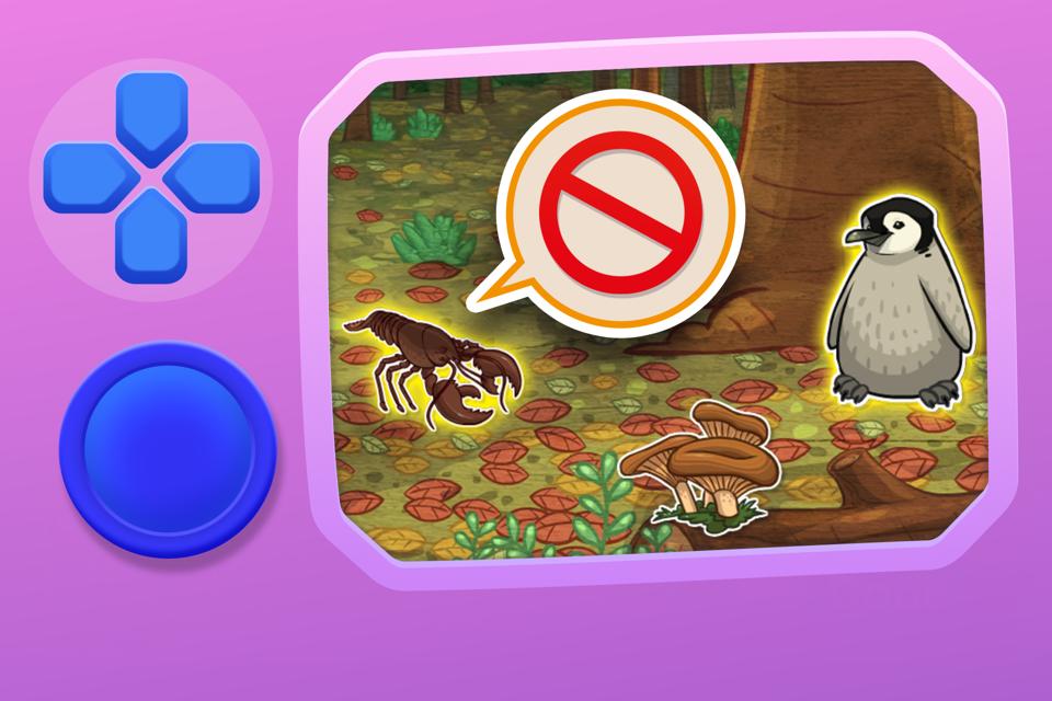 What Lives Here? Deciduous Forest