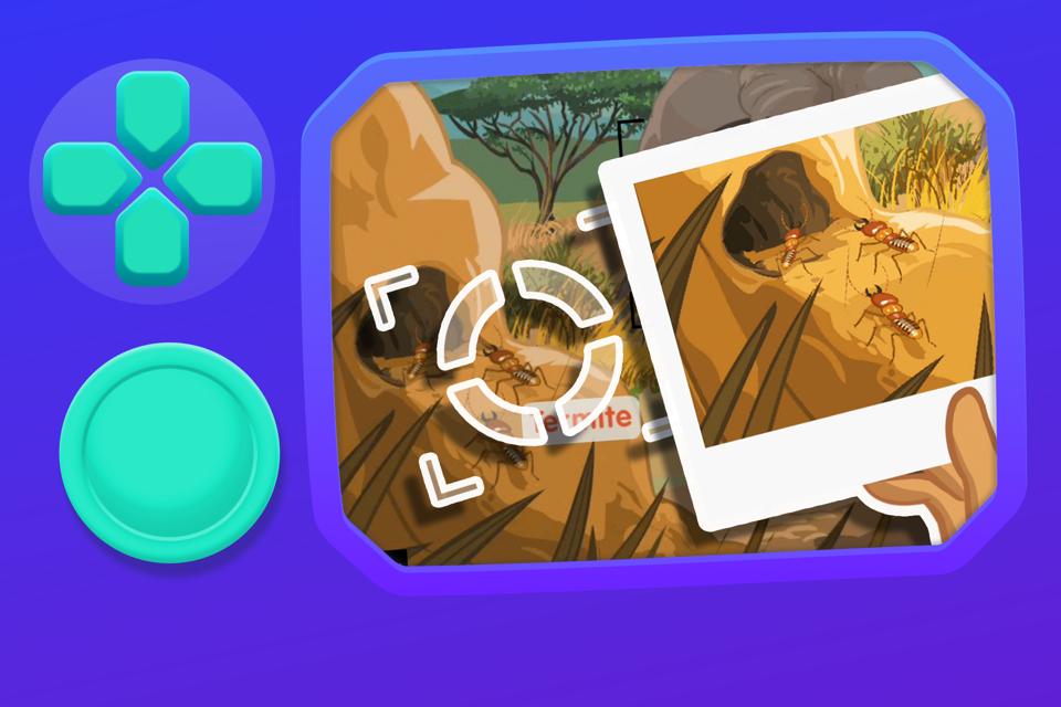 Pavati’s Savanna Pictures