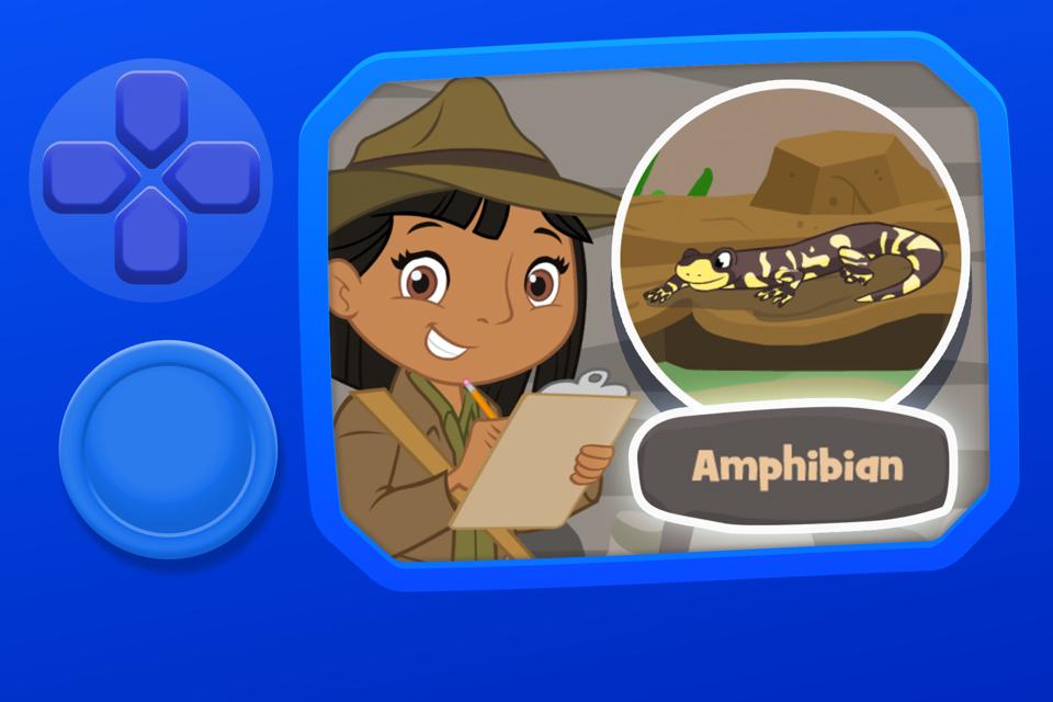 What Are Amphibians?