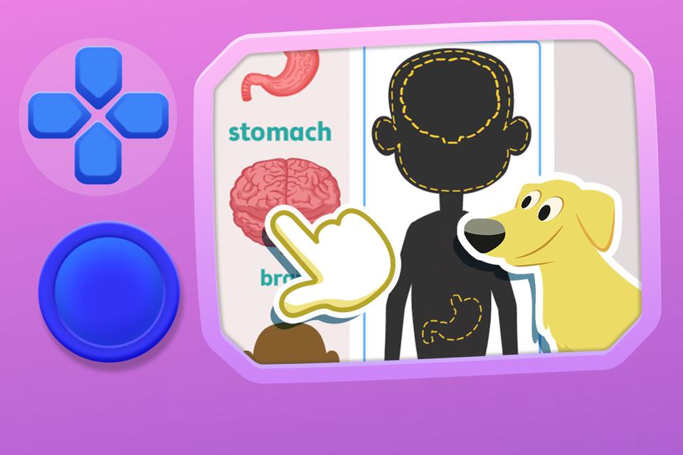 Parts of the Body with Lester