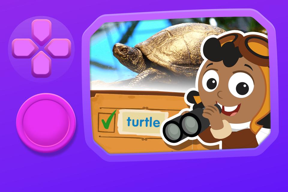 Wetlands Syllables Search