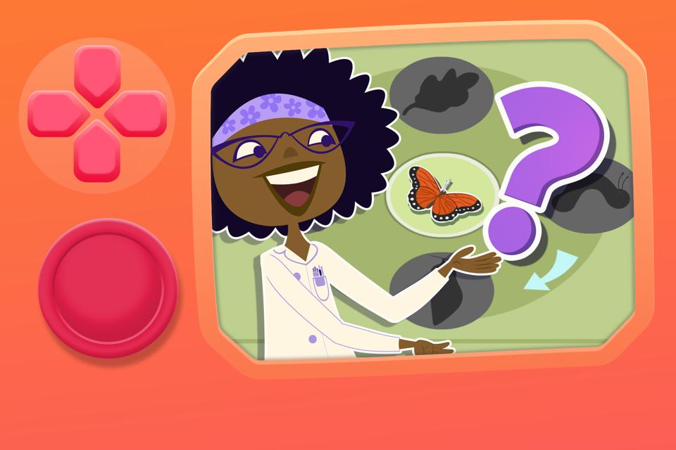 Professor Hester’s Life Cycle Review