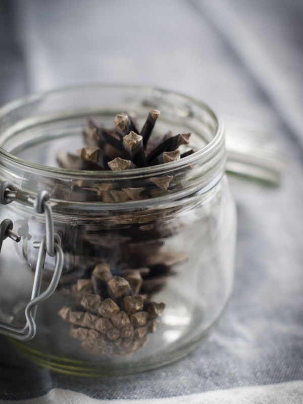 Jar filled with a small pinecone.