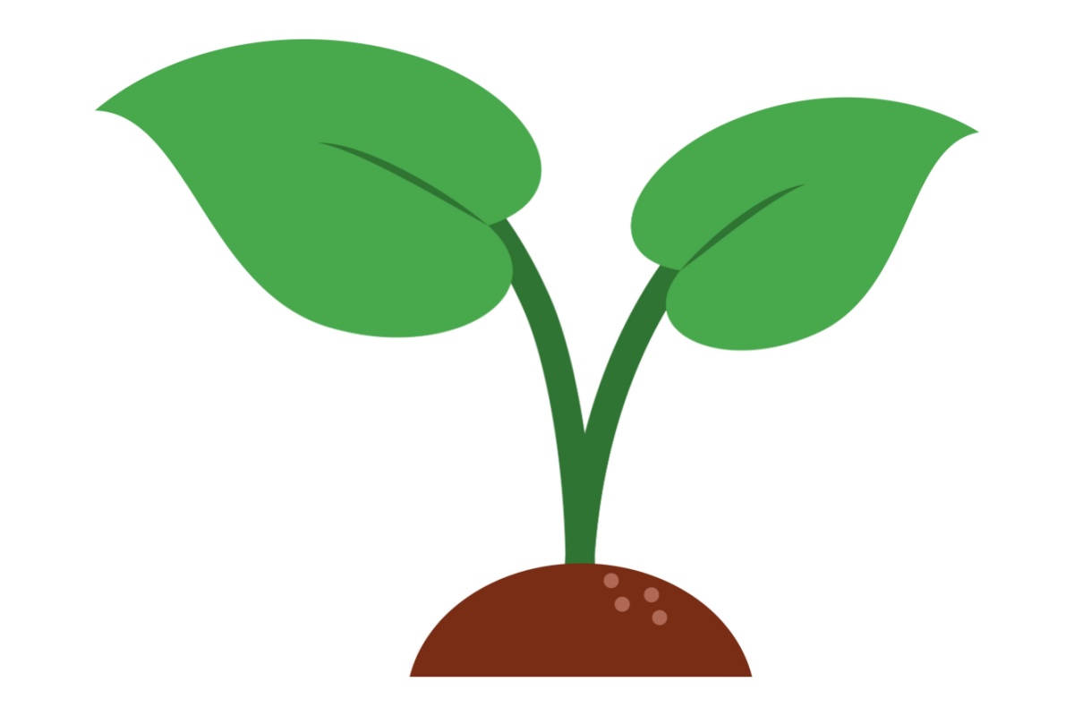 Cartoon image of a sprout with two leaves.