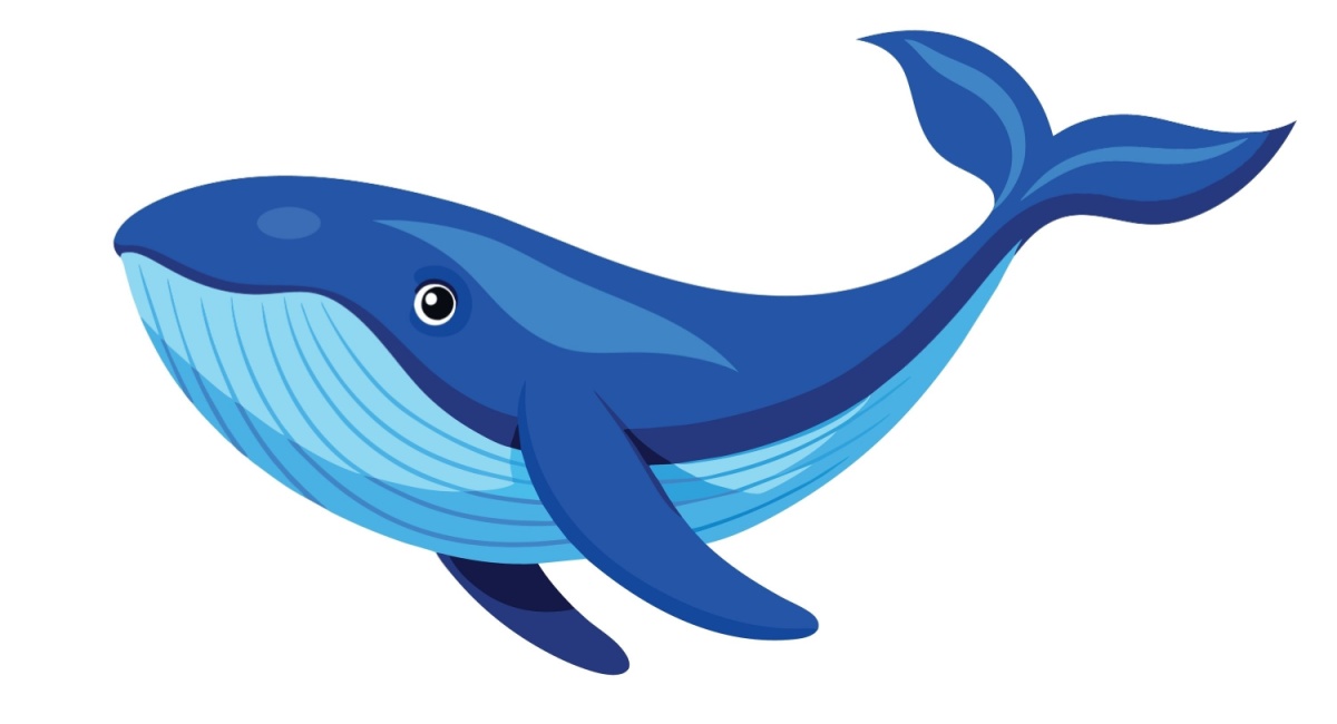 Illustration of a humpback whale.