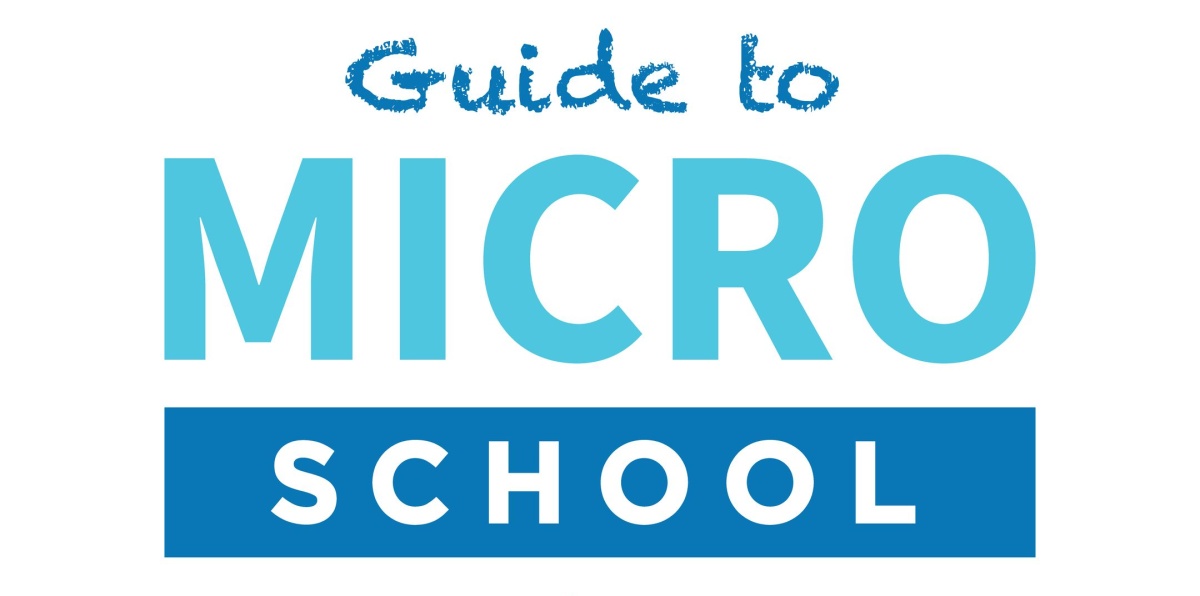 Logo for 'Guide to Micro School' with large light-blue 'MICRO' text and a dark blue bar spelling 'SCHOOL' beneath.