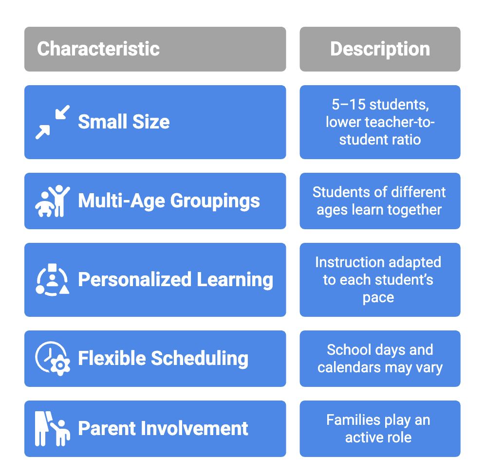 Chart outlining the key characteristics of a microschool