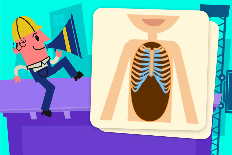 Build It Matching: Body Systems