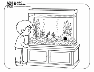 Child watching an aquarium axolotl in a free printable axolotl coloring page from ABCmouse.com.