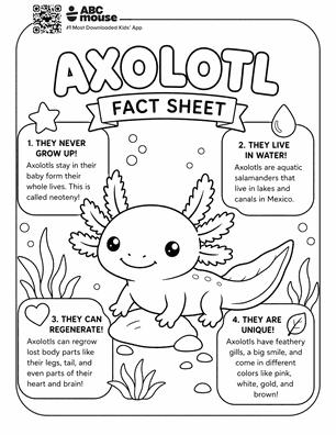 Axolotl fact sheet in a free printable axolotl coloring page from ABCmouse.com.