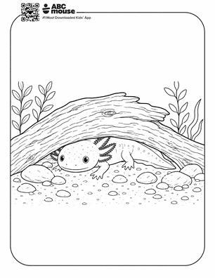 Realistic axolotl hidden under a log in a free printable axolotl coloring page from ABCmouse.com.