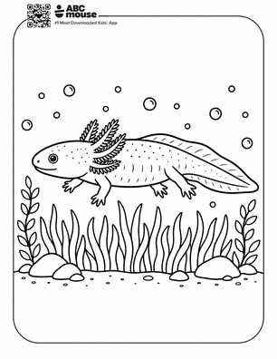 Realistic axolotl swimming above sea grass in a free printable axolotl coloring page from ABCmouse.com.