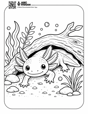 Realistic axolotl beneath a driftwood log in a free printable axolotl coloring page from ABCmouse.com.