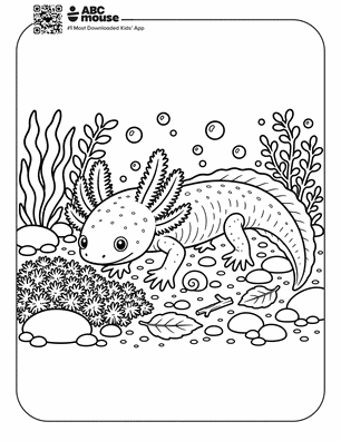 Realistic axolotl among underwater pebbles and leaves in a free printable axolotl coloring page from ABCmouse.com.