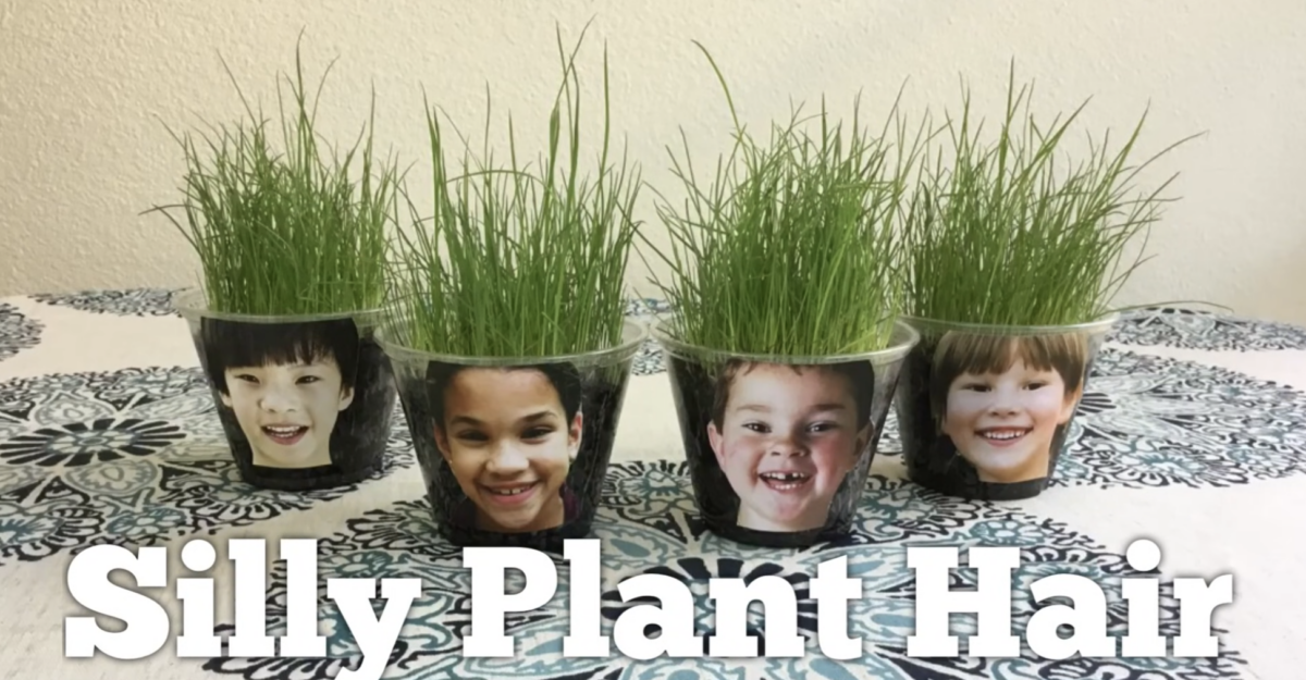 Four plastic cups with children's faces printed on them, each filled with tall green grass that looks like hair growing upward from the cups.