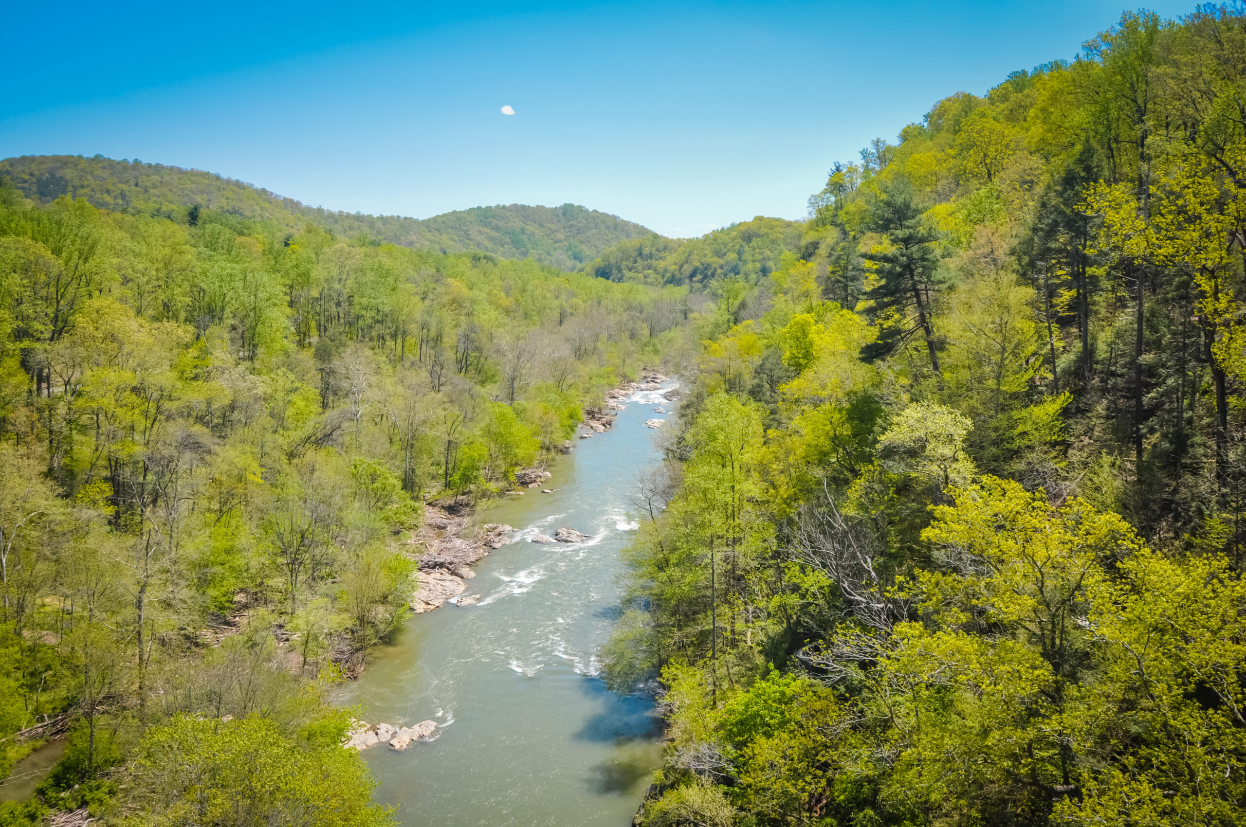 Wide river winding through a dense green forest with rolling hills under a clear blue sky.