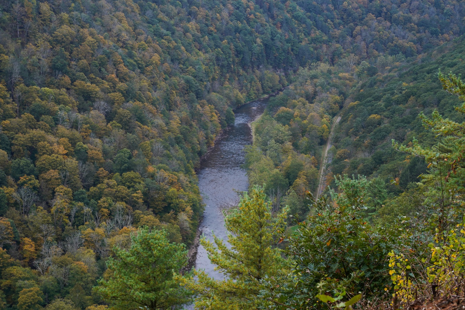 Autumn forested river winding through a valley, seen from a hillside overlook.