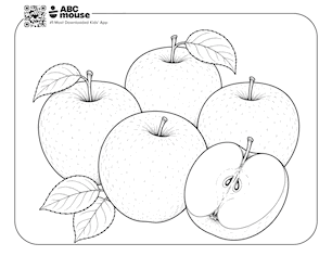 Group of realistic-looking whole and sliced apples with leaves—free printable coloring page for kids from ABCmouse.com.