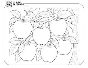 Bushel of apples growing together on a leafy tree branch—free printable coloring page for kids from ABCmouse.com.